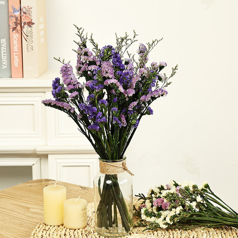 Plant Parent Gifts - 100g Natural Real Forget-me-not Flower Bouquet