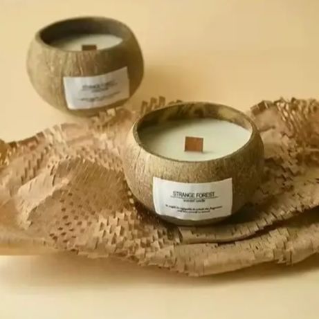 Natural Coconut Shell Scented  - Plant Parenting 评论和价格