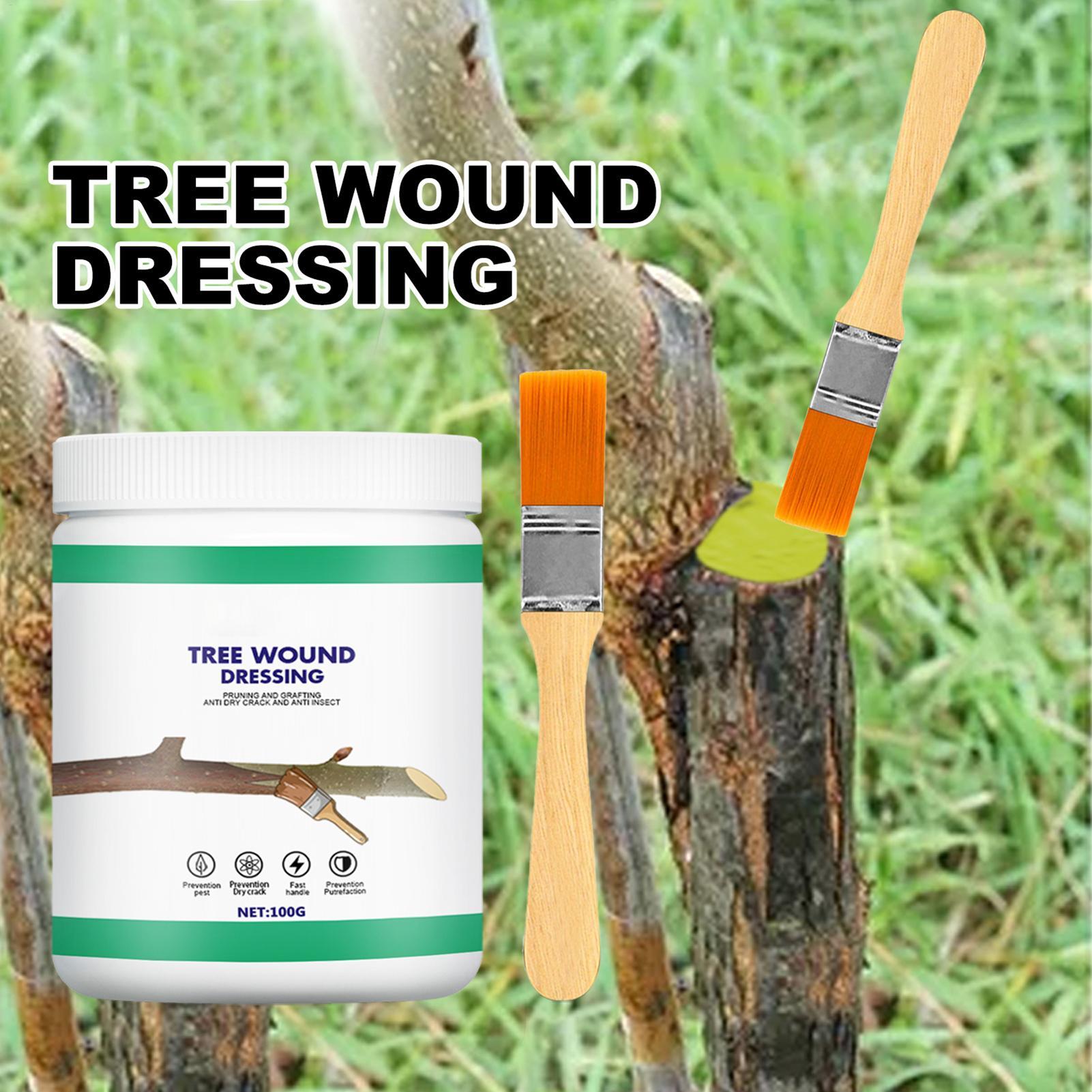 Pruning Sealer 100g Protective - Plant Parenting 评论和价格