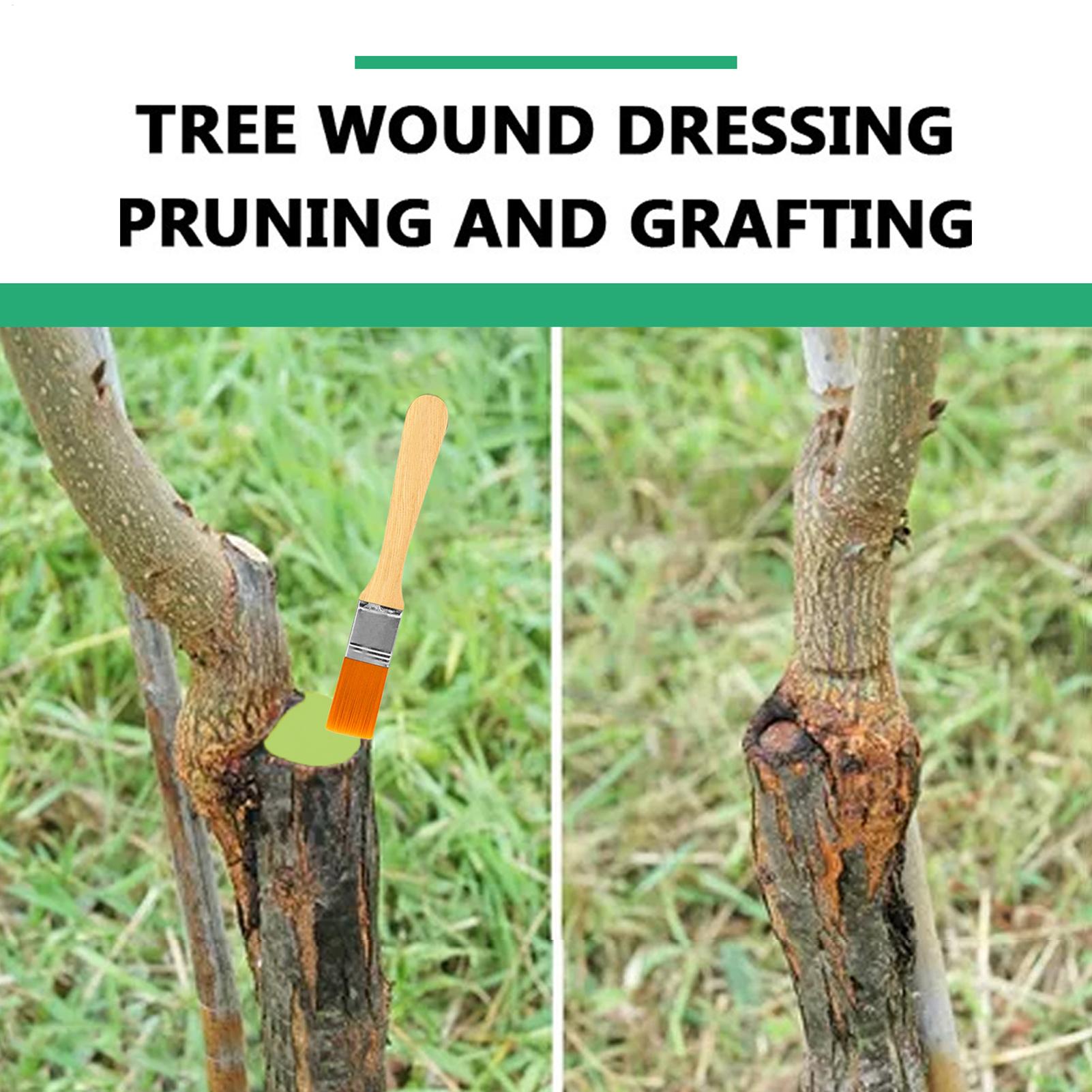 Pruning Sealer 100g Protective - Plant Parenting 评论和价格