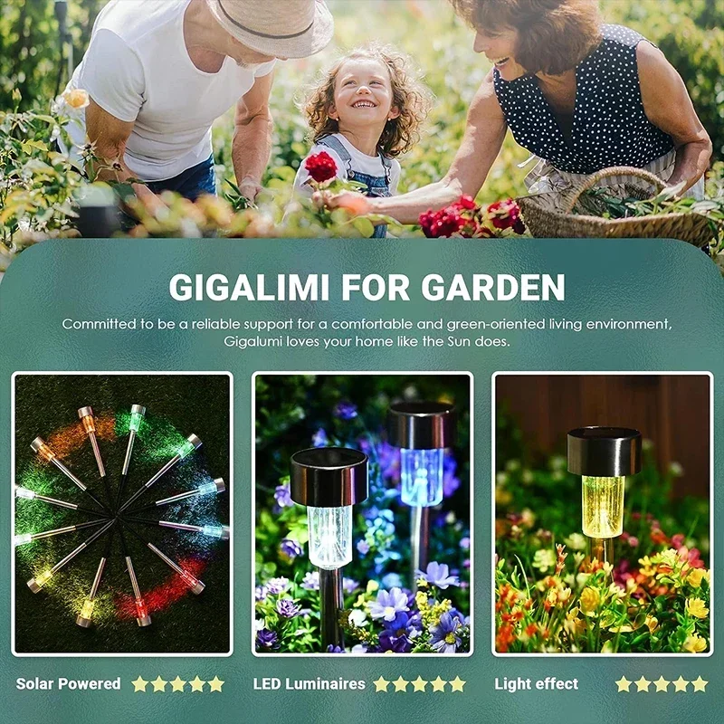 Solar Outdoor Lights Garden La - Plant Parenting 评论和价格