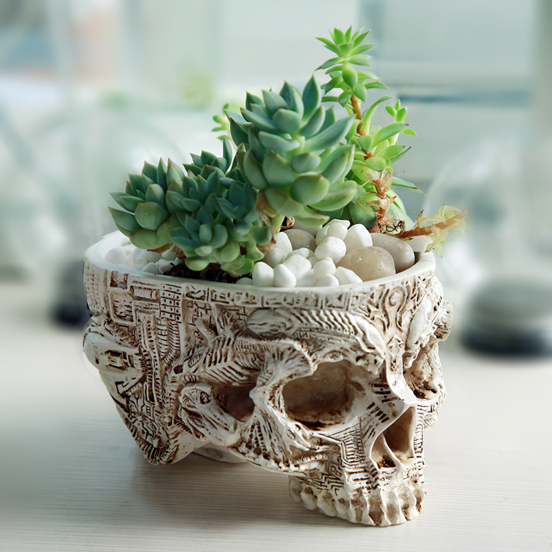 Halloween Skull Flower Pot Got - Snake Plant Ceramic 评论和价格