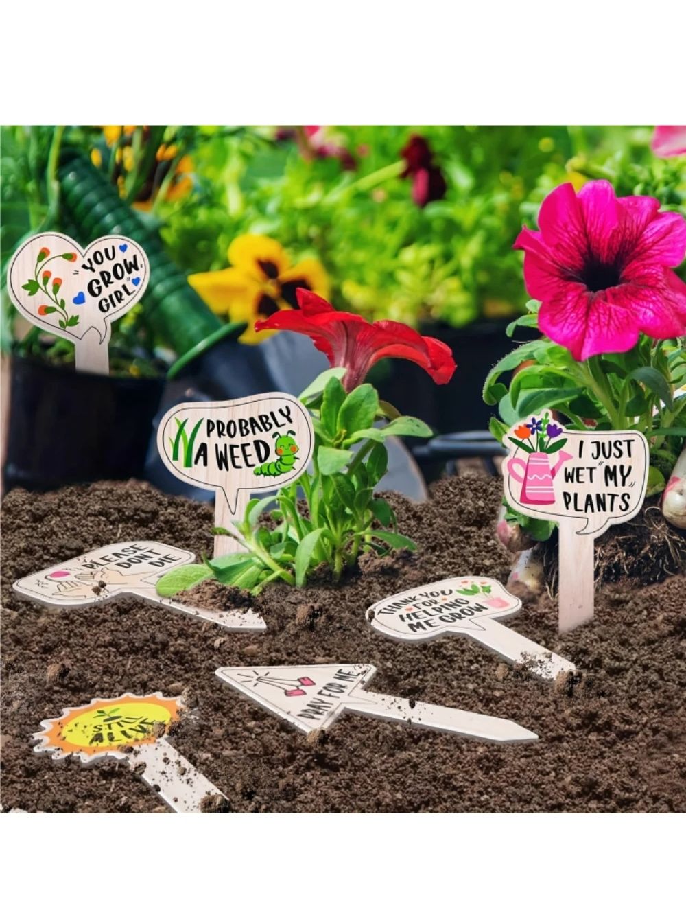 5/10Pcs Plant Labels for Succu - Plant Parent Gifts 评论和价格
