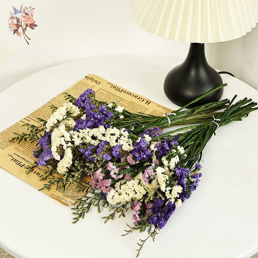 100g Natural Real Forget-me-no - Plant Parent Gifts 评论和价格