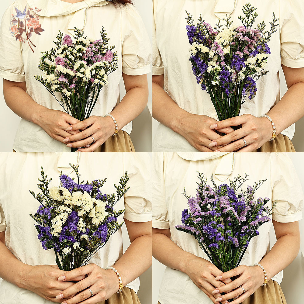 100g Natural Real Forget-me-no - Plant Parent Gifts 评论和价格