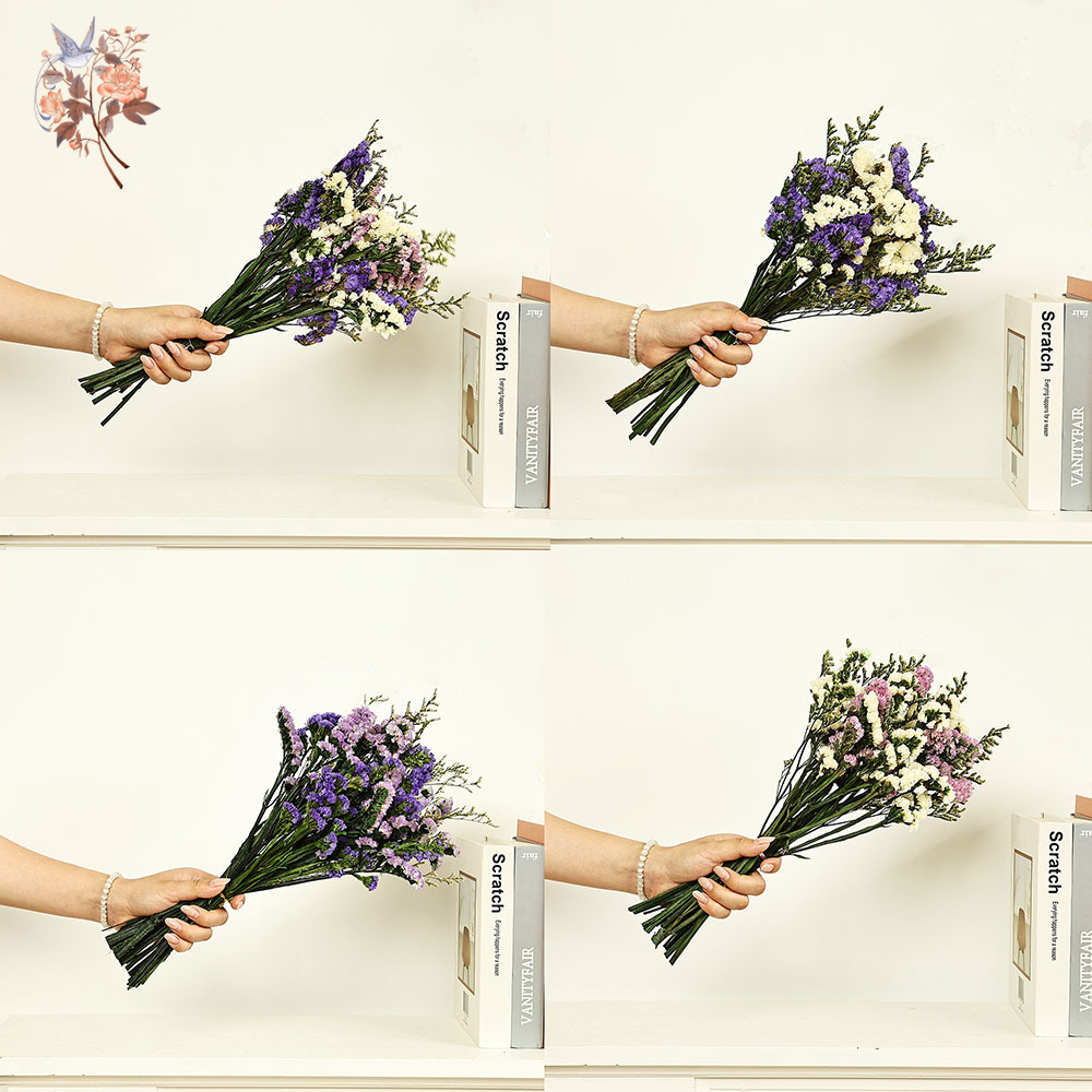100g Natural Real Forget-me-no - Plant Parent Gifts 评论和价格